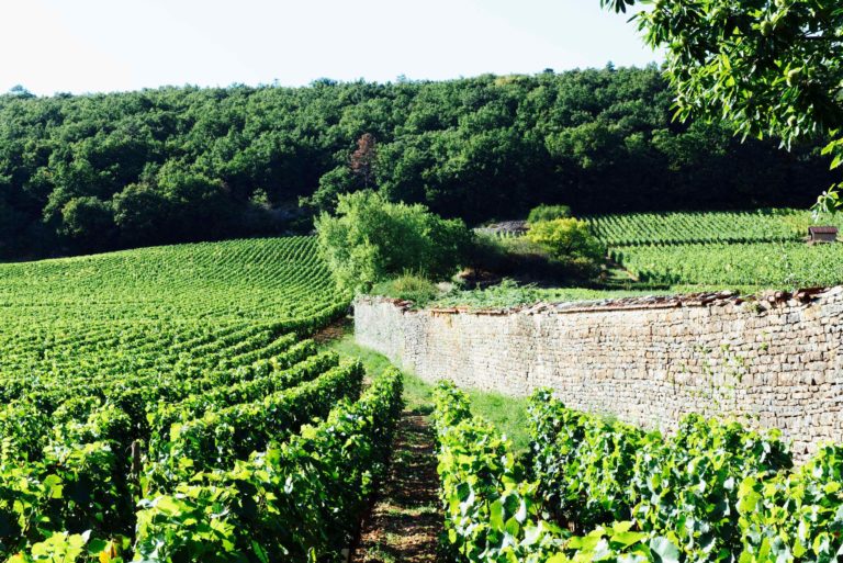 Aimer Le Vin 3 Esmonin 2 Cici Olsson 1