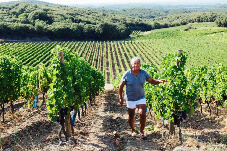 Livre Sh Op Aimer Le Vin Alquier1 Cici Olsson Livre