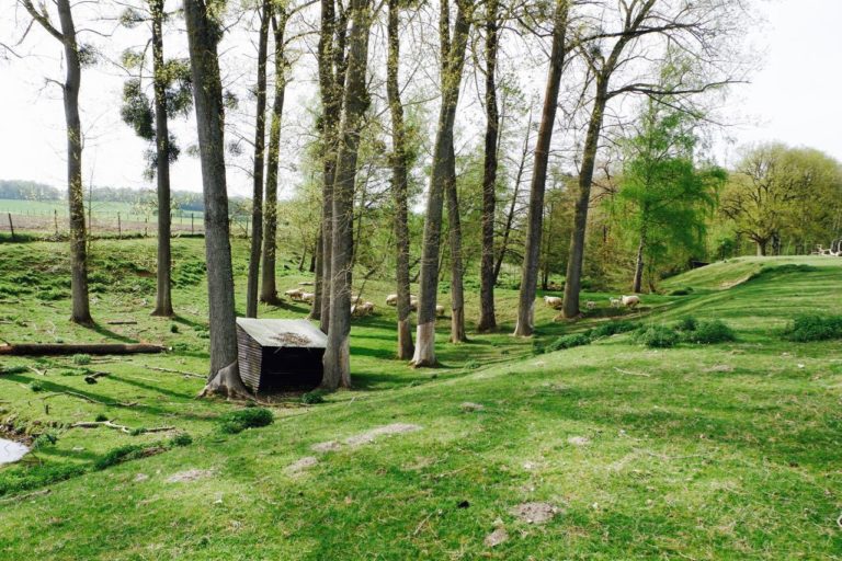 Ferme Des Rabanisse3