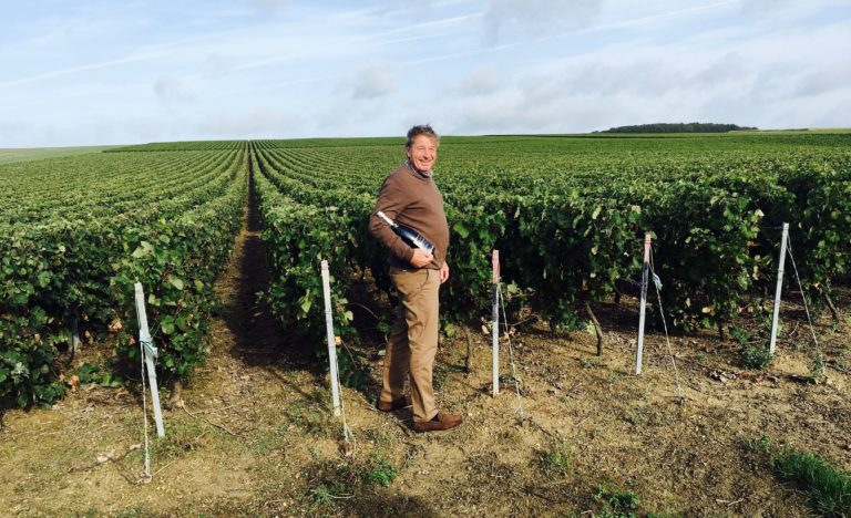 Raymond Leroy Dans Les Vignes