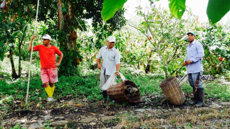 Reportage Bresil Marcolini 2