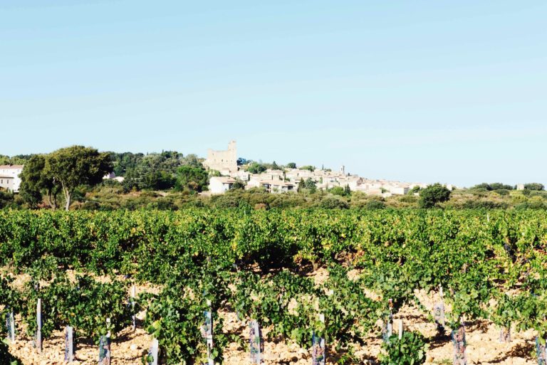 Vigneron France Beaurenard3 Livre Cici Olsson Copie